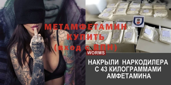 гидра Алексин