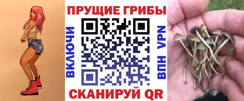 Псилоцибиновые грибы MAGIC MUSHROOMS  Среднеколымск 